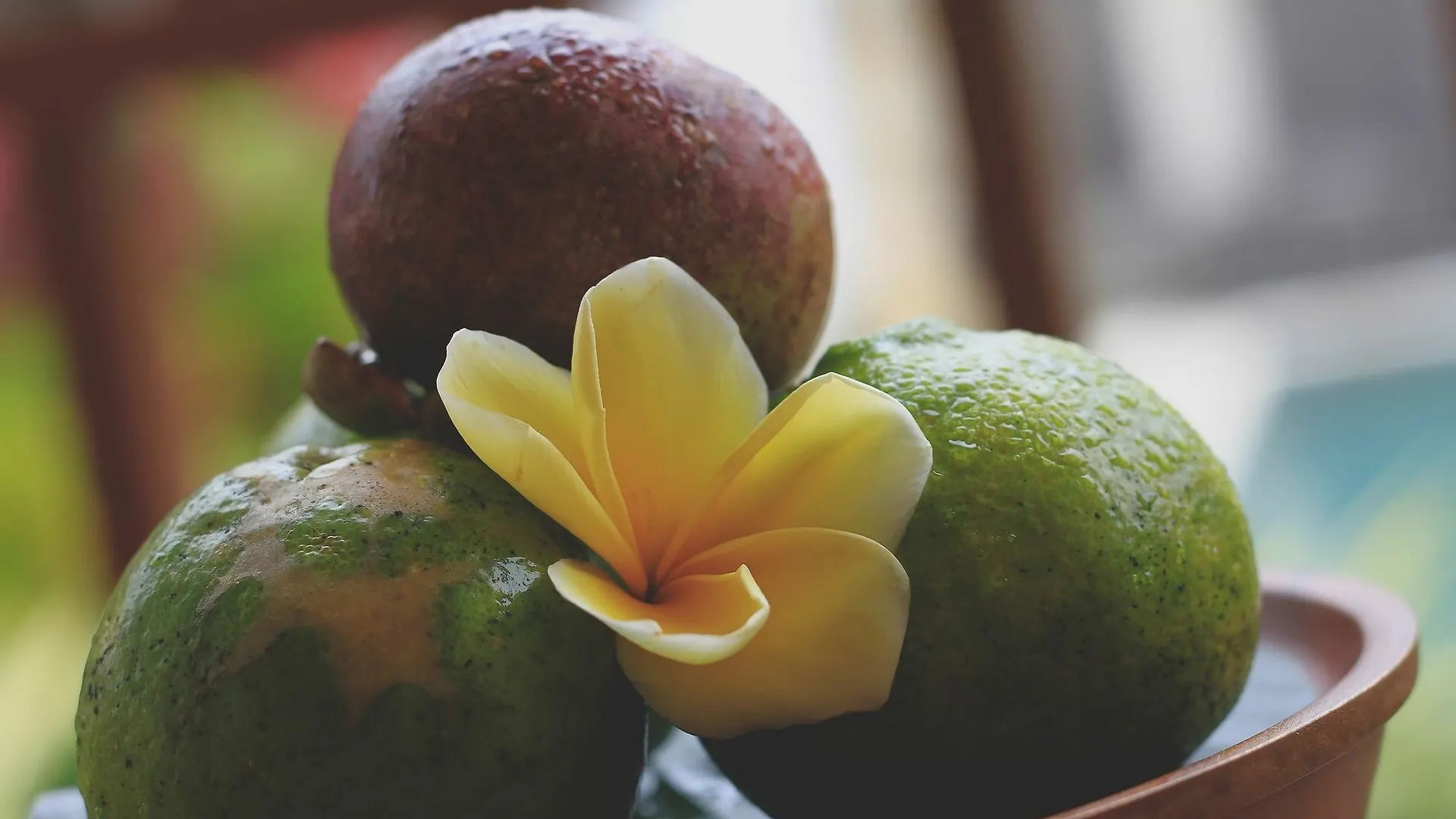 Puri Hari Resort & Villas Ubud  Indonesia